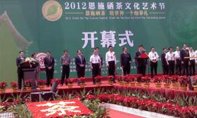 我公司參加＂2012年恩施硒茶文化藝術(shù)節(jié)＂