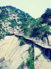 “我愛(ài)新稀寶　我愛(ài)大自然”員工旅游自由拍活動(dòng)圓滿結(jié)束