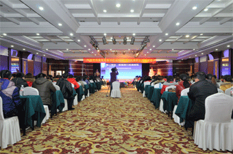 金龍起舞辭舊歲，銀蛇歡歌啟新程