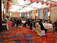 2015 積蓄力量，2016 大勝歸來